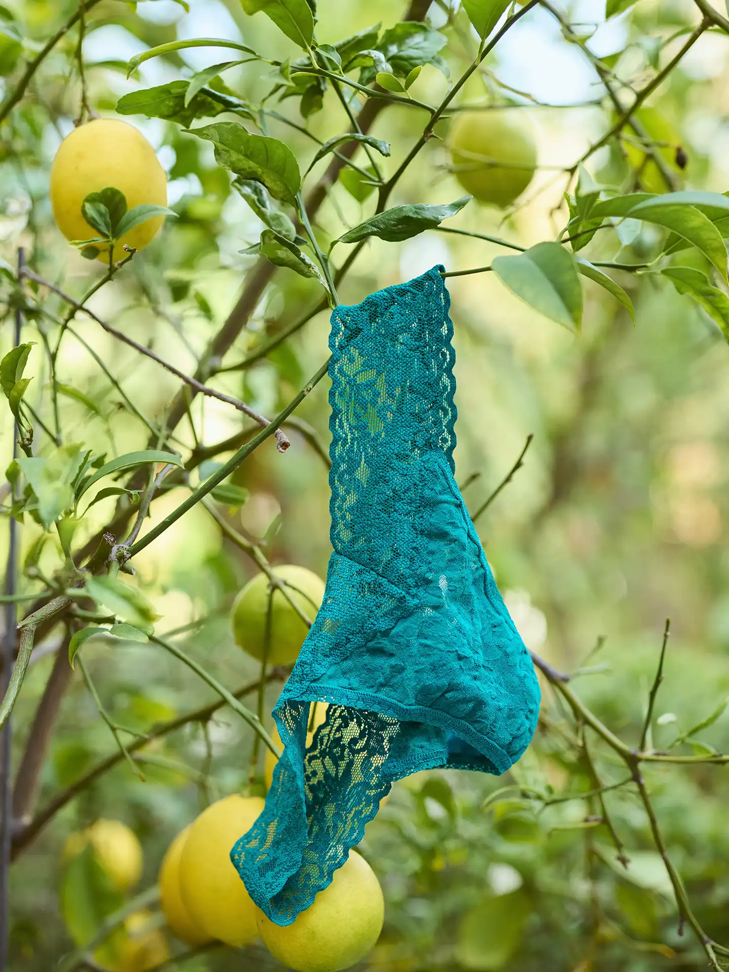 HANKY PANKY Original String