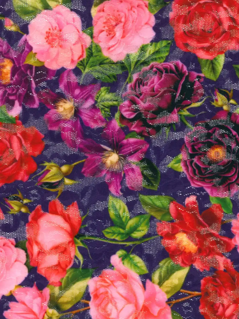 HANKY PANKY Padded Bralette